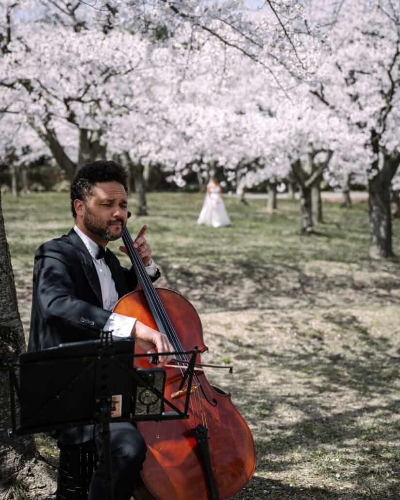 The cellist plays in the foreground while the bride walks toward the ceremony through the white cherry blossoms behind him.