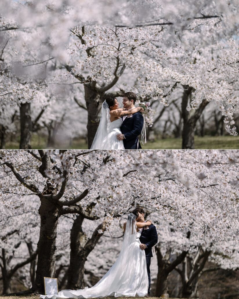 The bride and groom hold each other in an unplanned first dance under the cherry blossoms, seen from two angles.