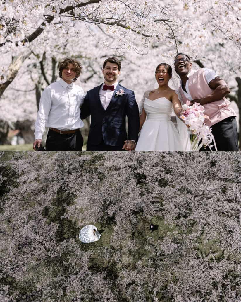 The couple with their friend and a guest under the cherry trees, and an aerial view of the bride in a sea of white blossom.