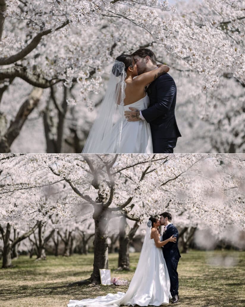 The bride and groom kiss at the end of their ceremony under the cherry trees, seen close and from across the grass.