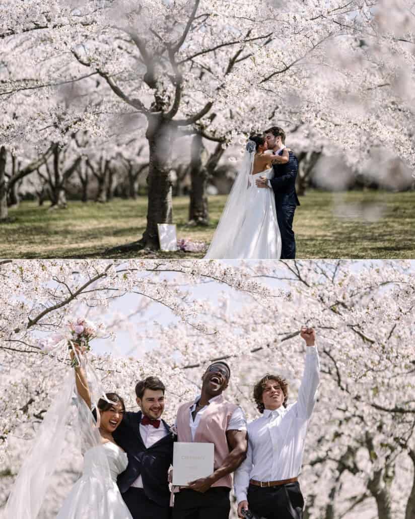 The newlyweds kiss beneath the cherry blossoms, then celebrate with their arms raised beside their friend and a guest.