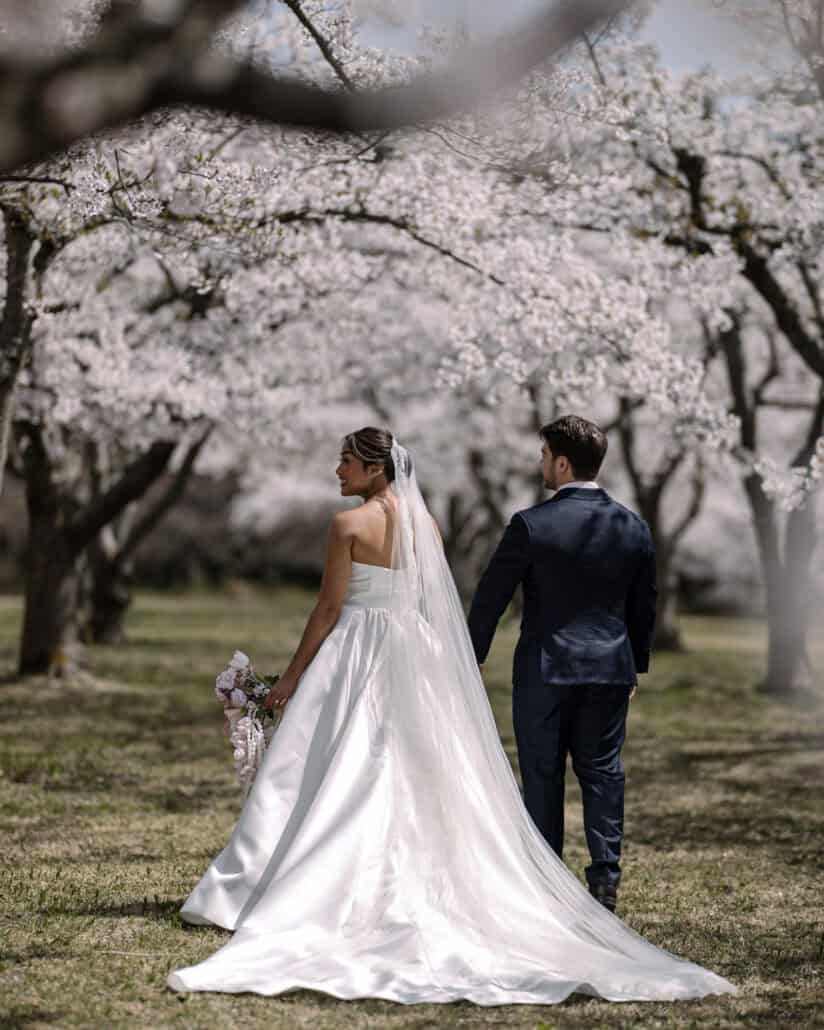 The bride and groom walk away together through an avenue of cherry trees, her long veil and train trailing on the grass.