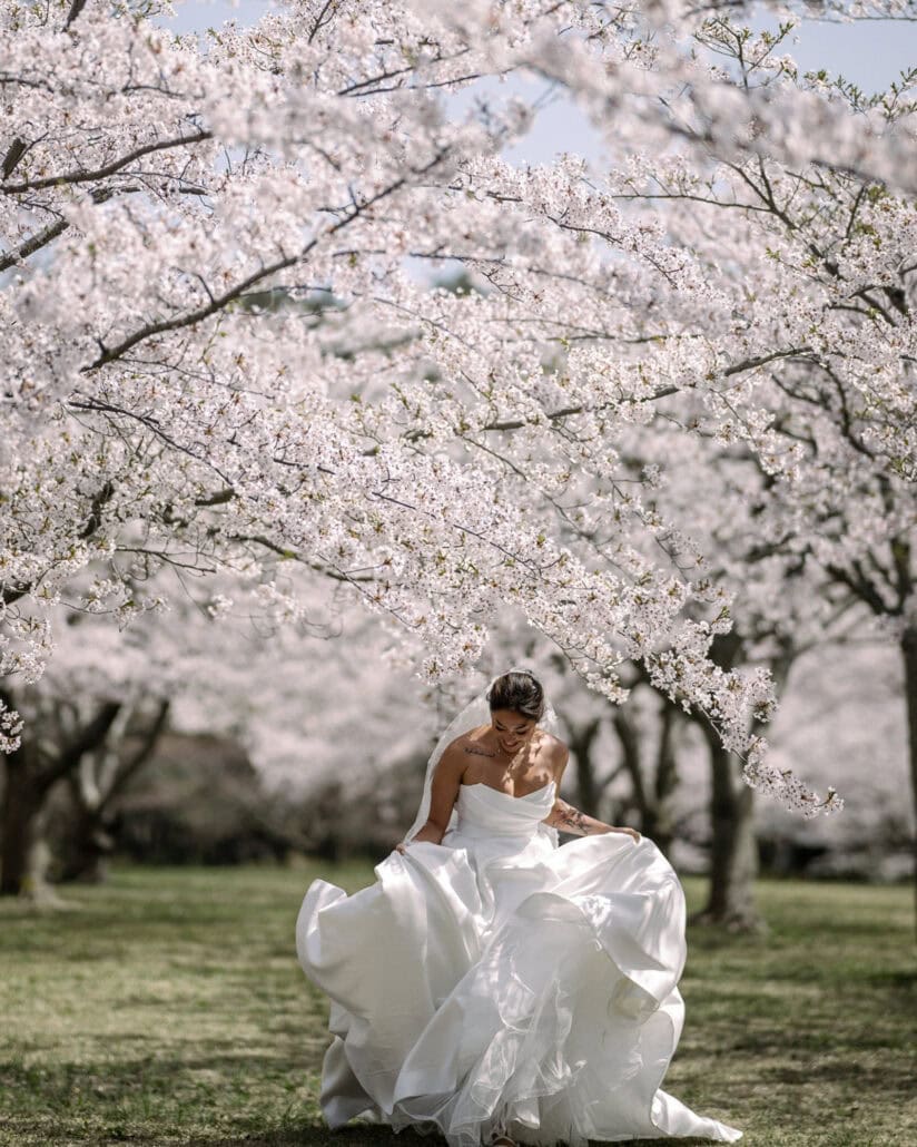 Mid-stride, the bride lifts her full skirt as she runs through the cherry trees, her veil streaming out behind her.
