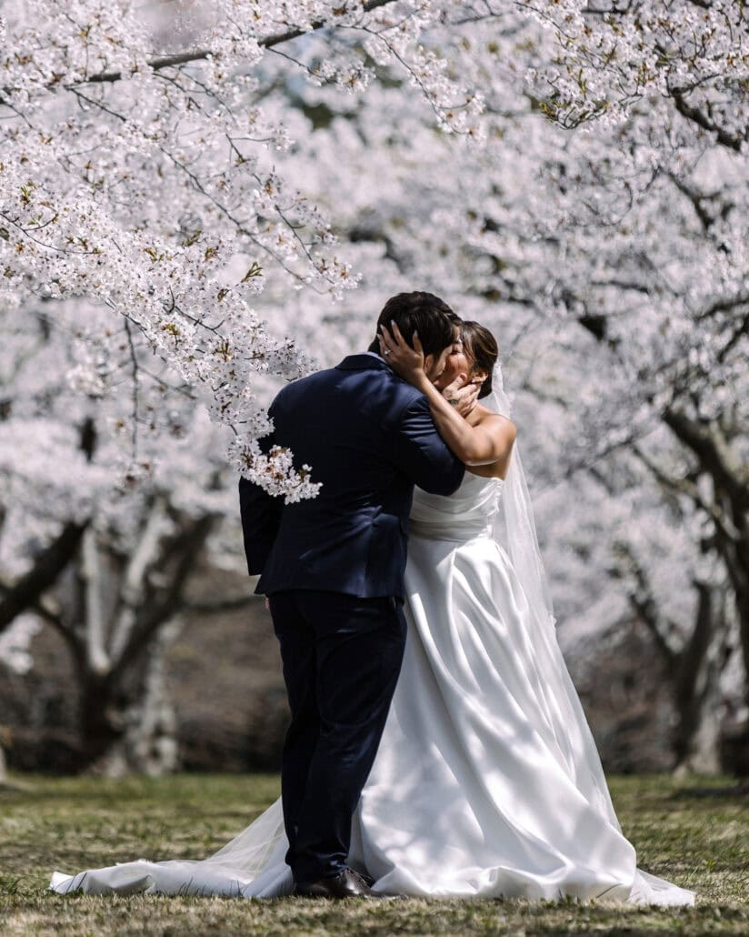 The groom pulls the bride into a kiss under the cherry trees, her long veil and train spread across the grass.