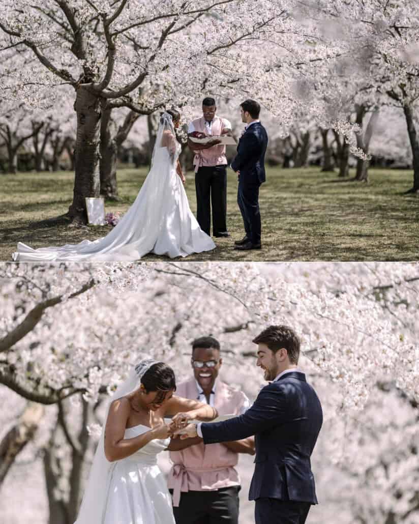 The couple exchange rings beneath the cherry trees, and their friend laughs as the ring refuses to slide on.