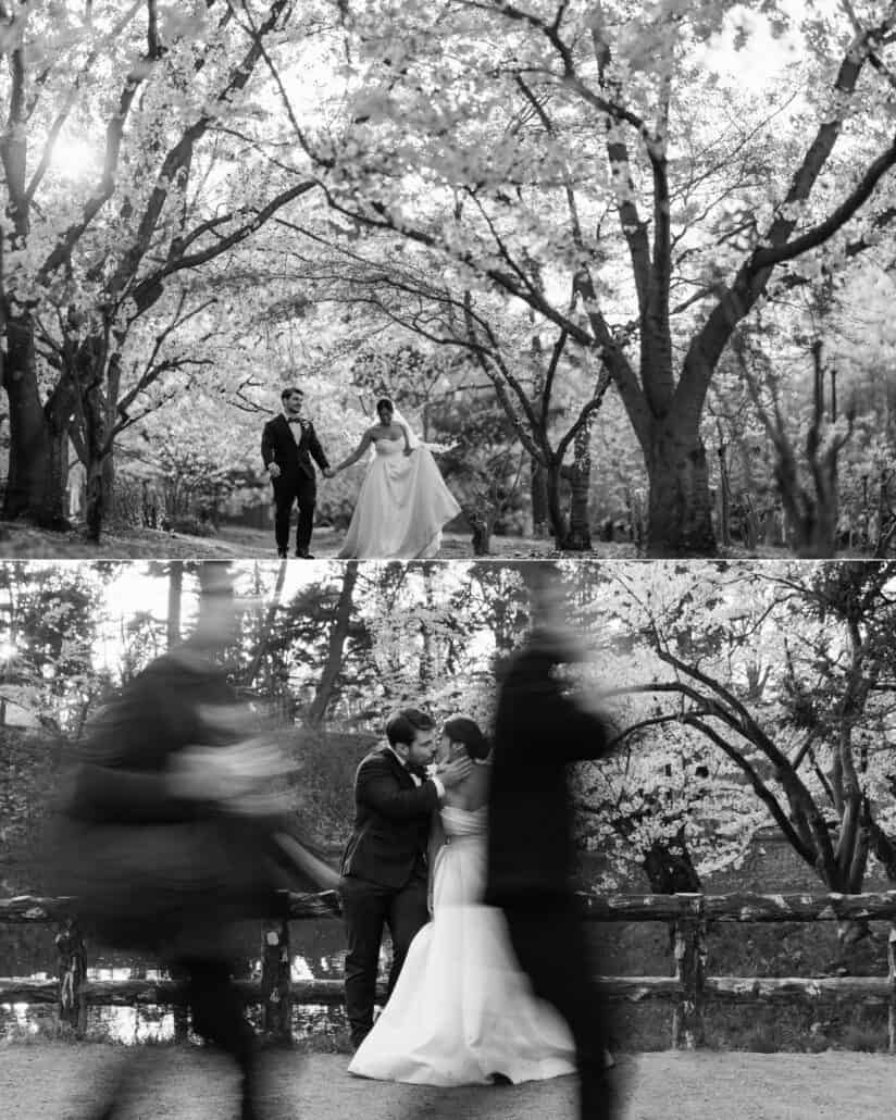 Black and white: the couple walk under the cherry trees of Hirosaki, and kiss while the festival crowd blurs past them.
