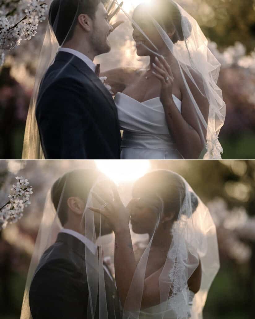 Under the bride's veil, the couple smile and kiss as the evening sun flares through the cherry blossoms of Hirosaki.