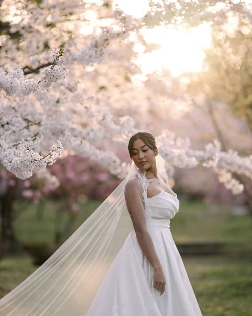 The bride stands in low golden sunlight under the cherry trees of Hirosaki, her veil drifting down beside her.