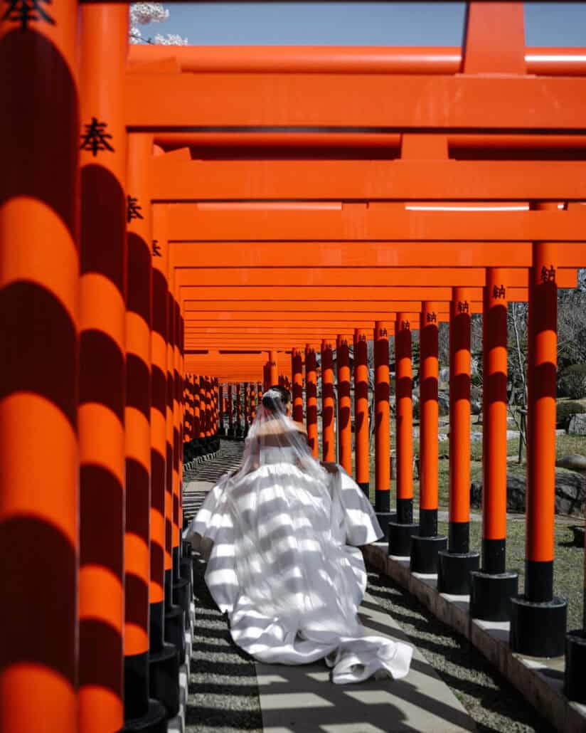 The bride's white train fills the path at the end of a long tunnel of red torii gates at Takayama Inari Shrine.