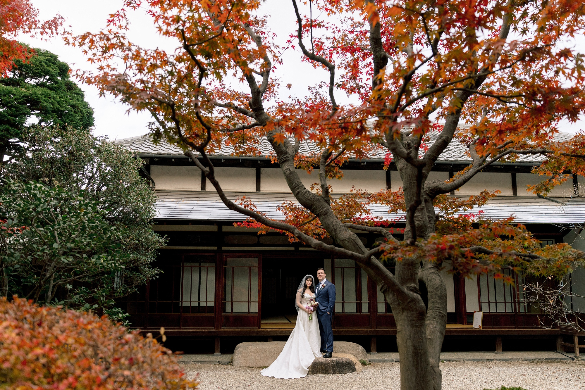 A couple stand beneath a great red maple in front of a traditional house in Tokyo, the garden at its autumn peak for their elopement in Japan.