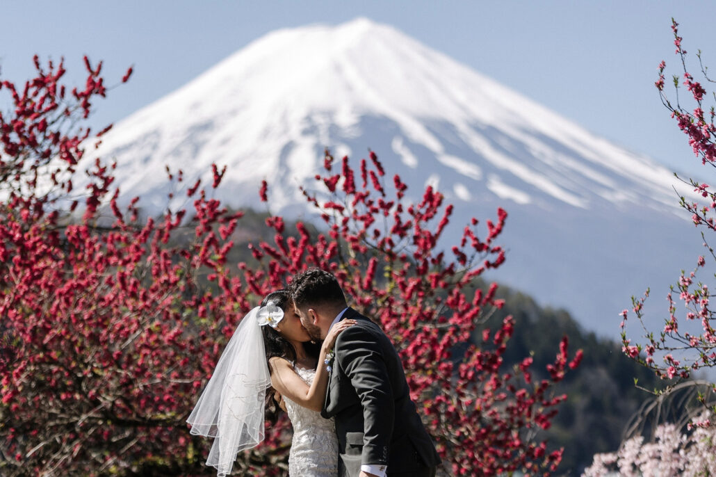 The bride and groom kiss among deep pink blossom with a snow-covered Mt Fuji behind them, at their cherry blossom elopement in Japan.