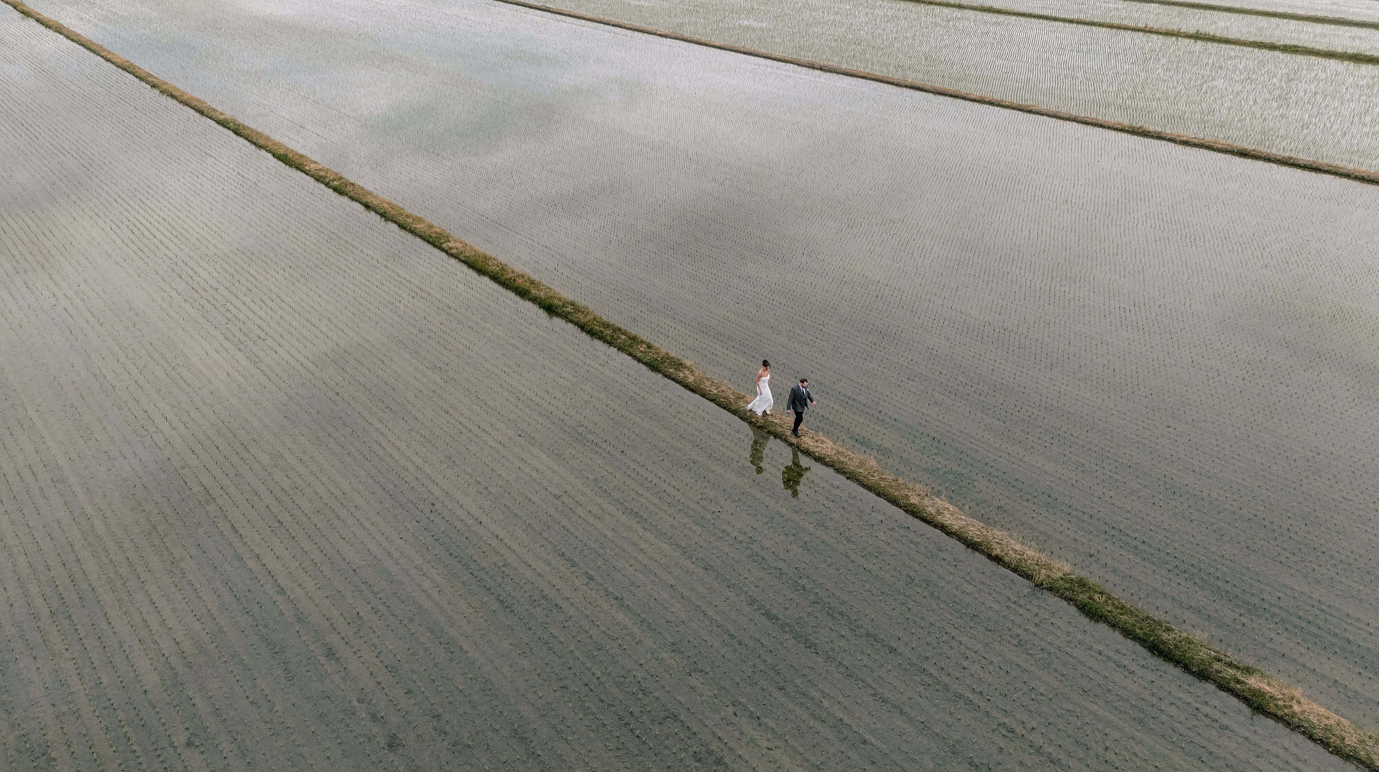 Seen from a drone, the newlyweds walk a narrow grass path between still, flooded rice paddies in Niigata, their reflections beside them.