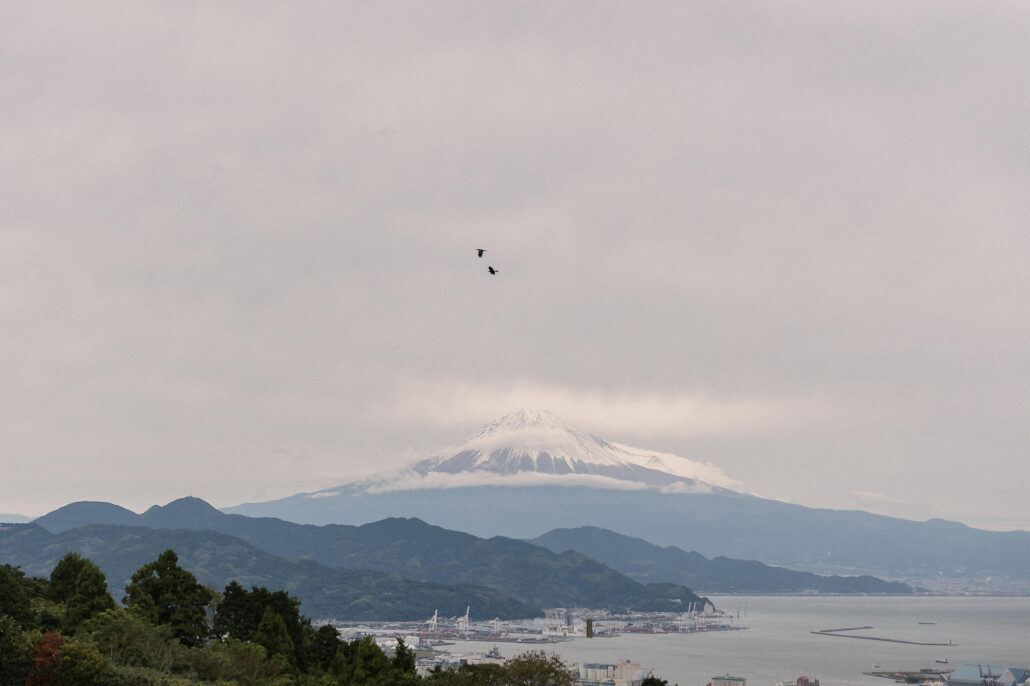 Snow-capped Mt Fuji rises above the hills, Shimizu port and Suruga Bay, as seen from the tea fields of Nihondaira in Shizuoka.