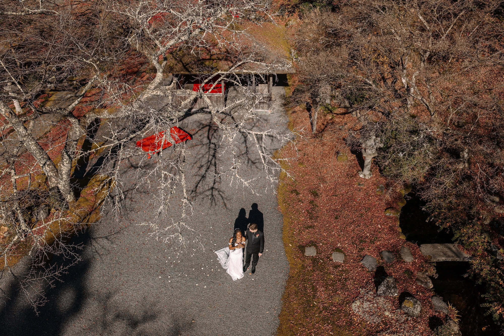 From above, a couple walk a gravel path through a garden in Kyoto, red parasols among autumn trees, an elopement in Japan at the peak of autumn colour.