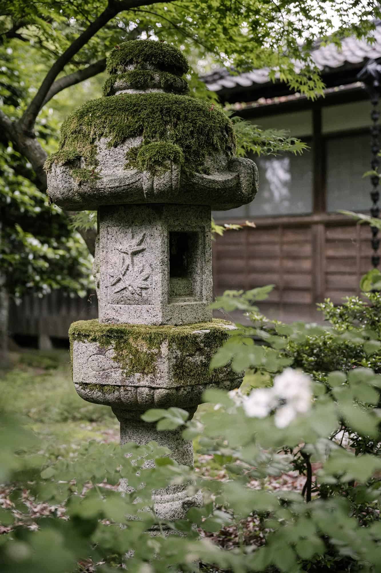 A moss covered stone lantern stands among white flowers before an old wooden house in a private Japanese garden wedding venue in Niigata.
