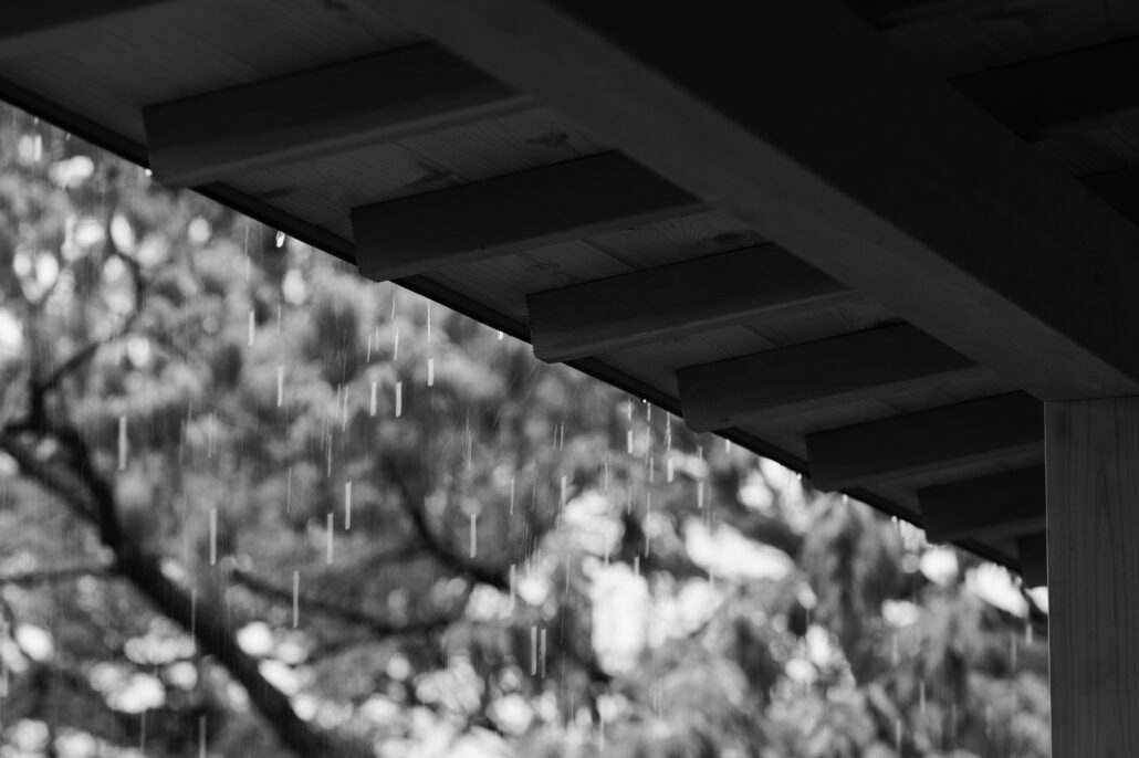 In black and white, rain falls in streaks from the edge of a wide timber roof over blossoming trees.