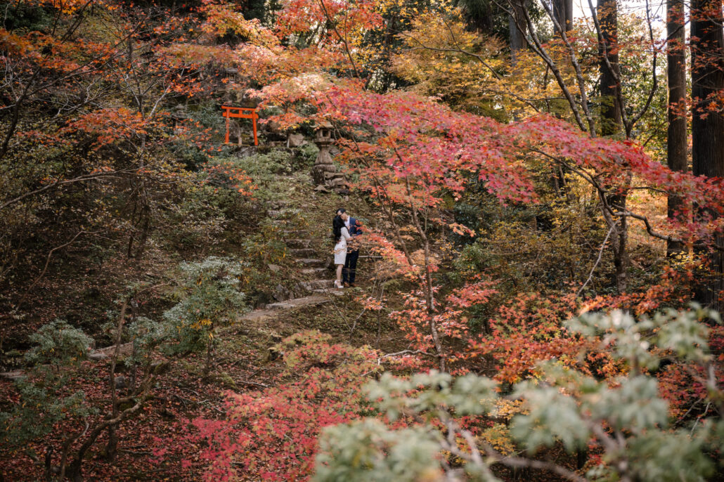 The couple kiss on mossy stone steps that climb towards a red torii and a stone lantern, maples in colour all around their Kyoto elopement.