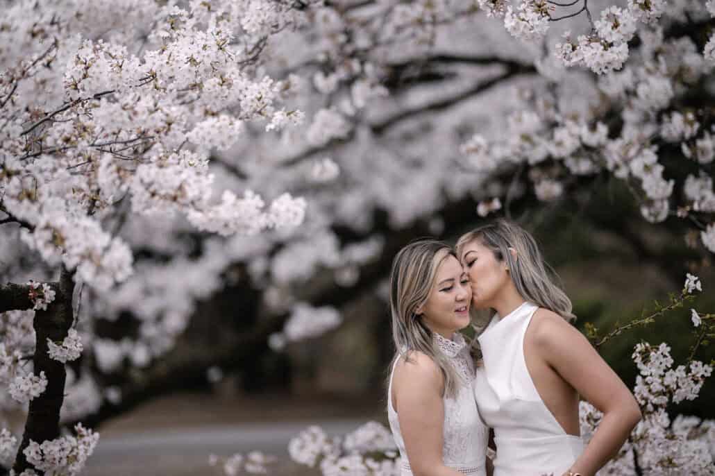 One bride kisses the other on the cheek under heavy branches of white cherry blossom on a soft overcast morning in spring in Japan.