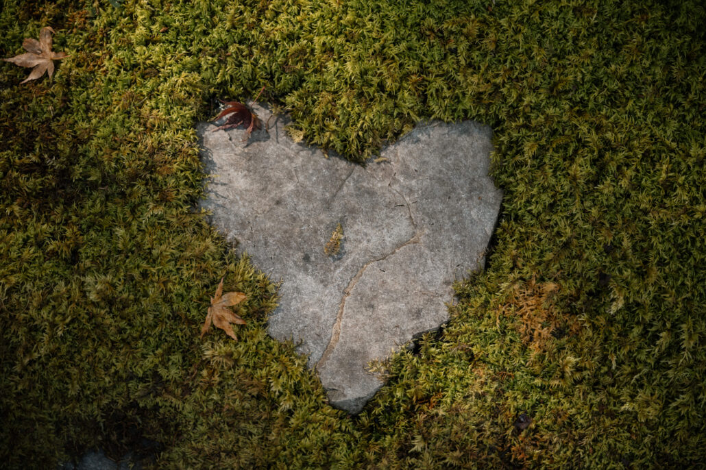 A heart-shaped stone set into thick moss, fallen maple leaves around it, in a private garden in Kyoto at a garden wedding in autumn.