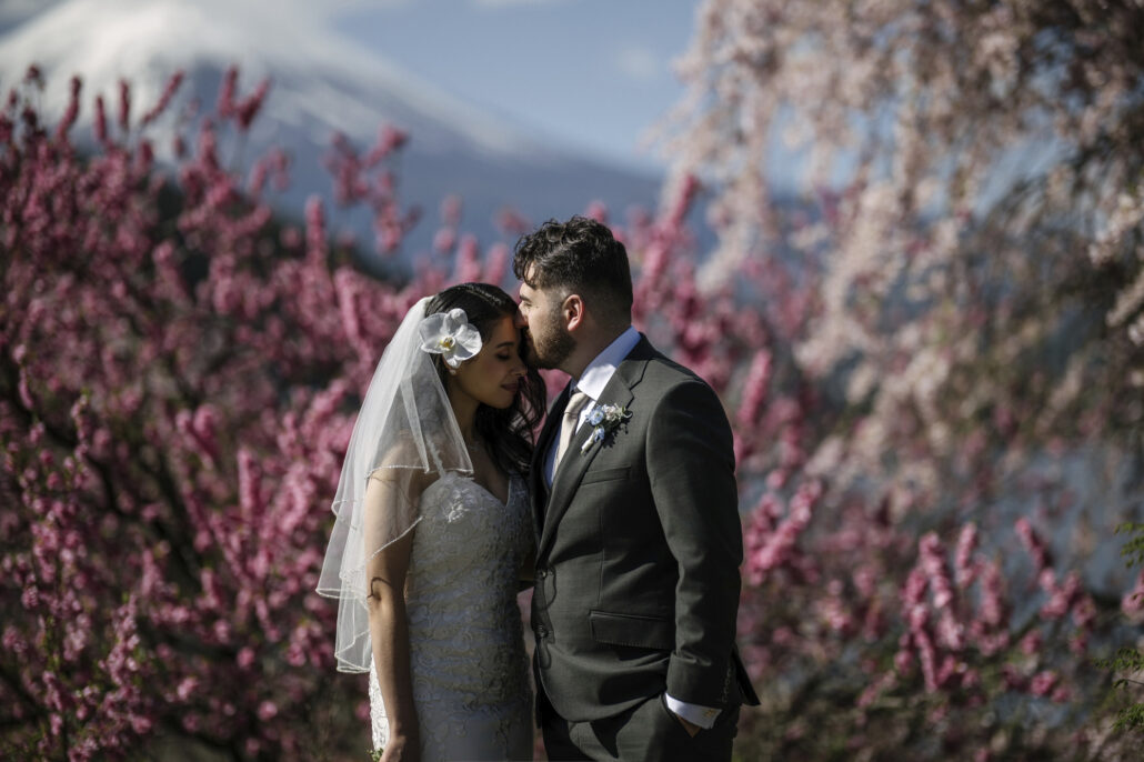 The groom kisses the bride's temple among deep pink blossom, with Mt Fuji rising softly in the distance.