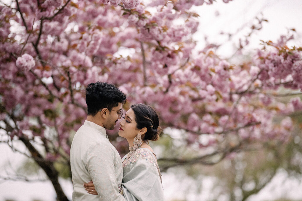 The groom leans in to the bride under branches heavy with pink double cherry blossom, her saree over her shoulder.