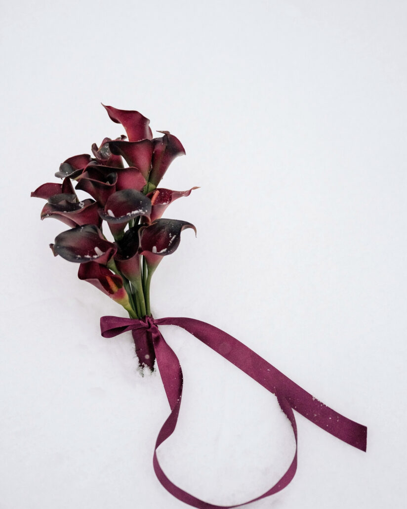 The bouquet of deep red calla lilies tied with a burgundy ribbon lies on fresh snow at a luxury winter wedding in Hakuba.