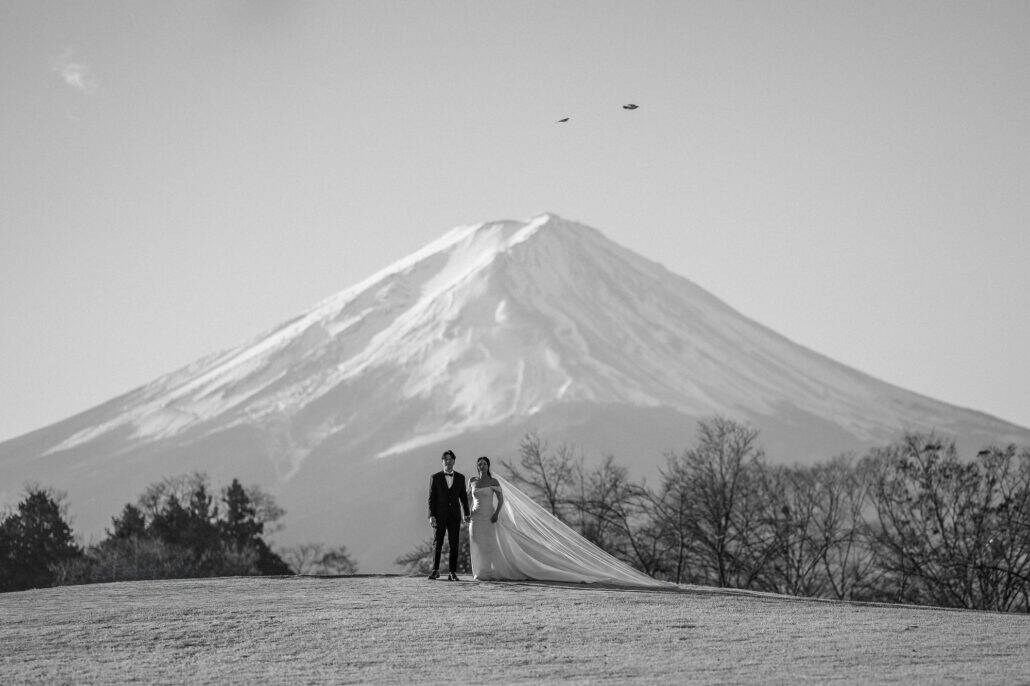 A black and white frame of the couple standing before Mt Fuji as two birds cross the sky above the summit.