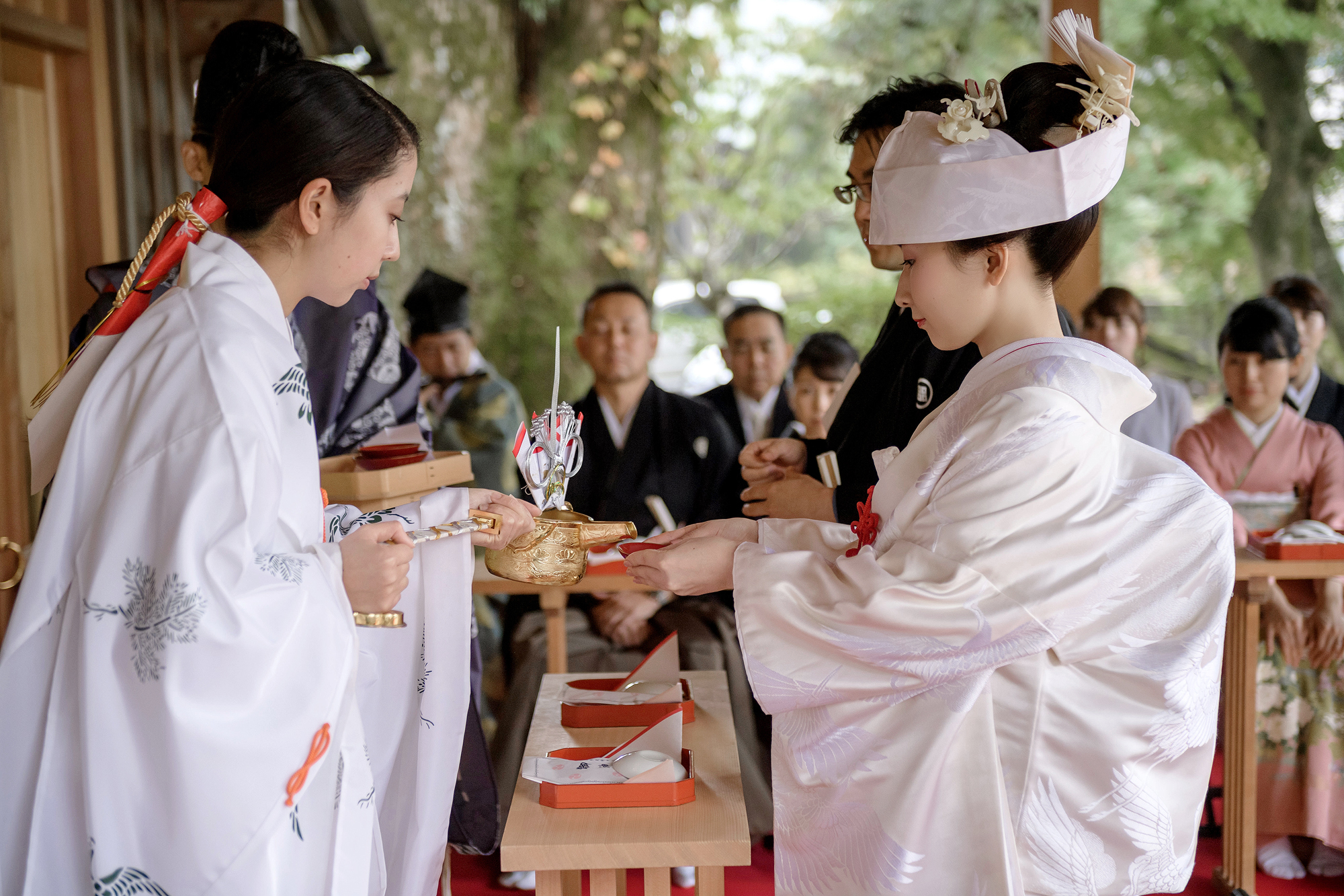 A shrine maiden pours sake for the bride in shiromuku and tsunokakushi during san-san-kudo at a Shinto wedding in Japan, family watching behind.