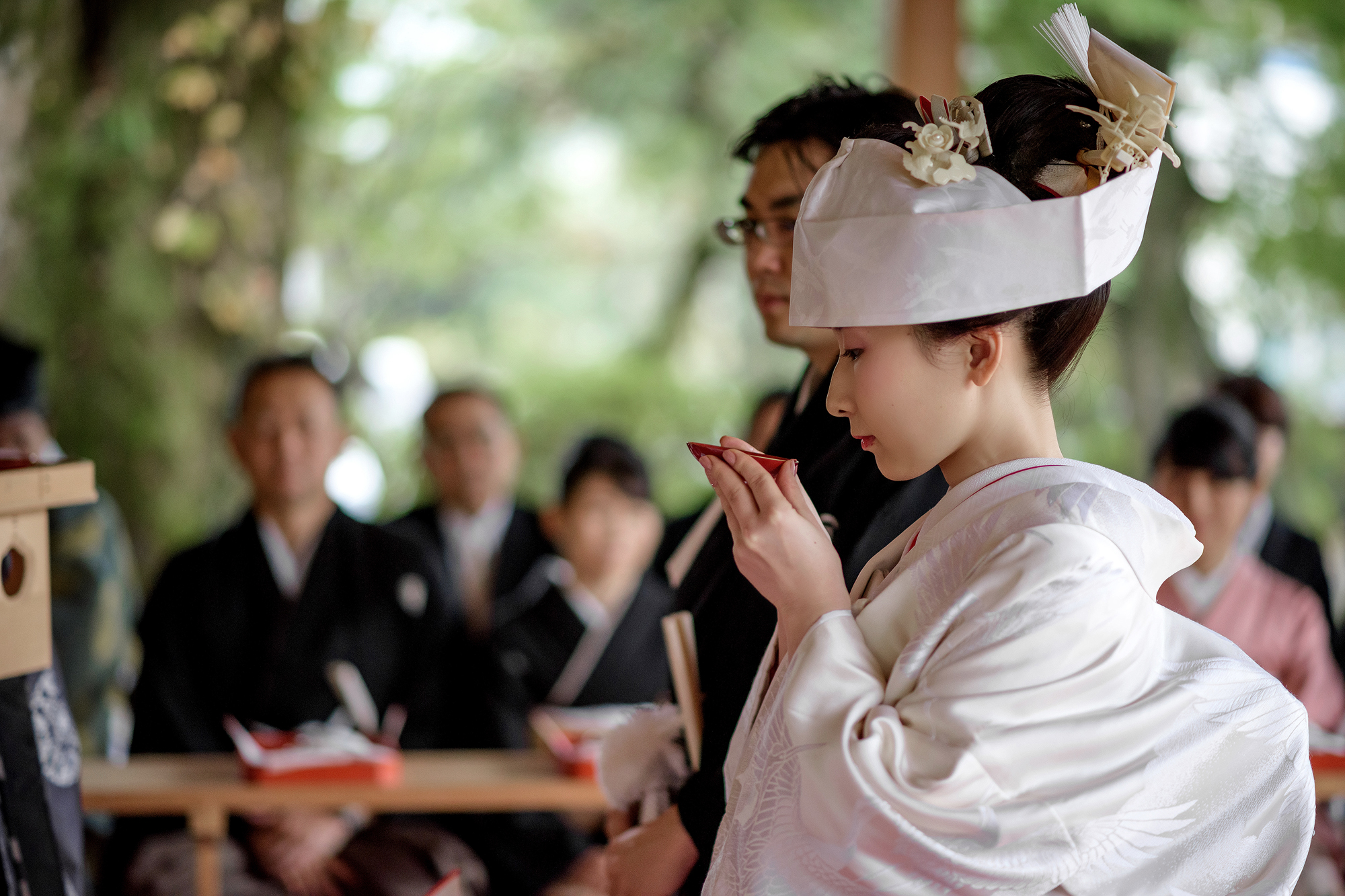 The bride in tsunokakushi sips from a red lacquer cup during san-san-kudo, the three-cup sake rite at the heart of a Shinto wedding in Japan.