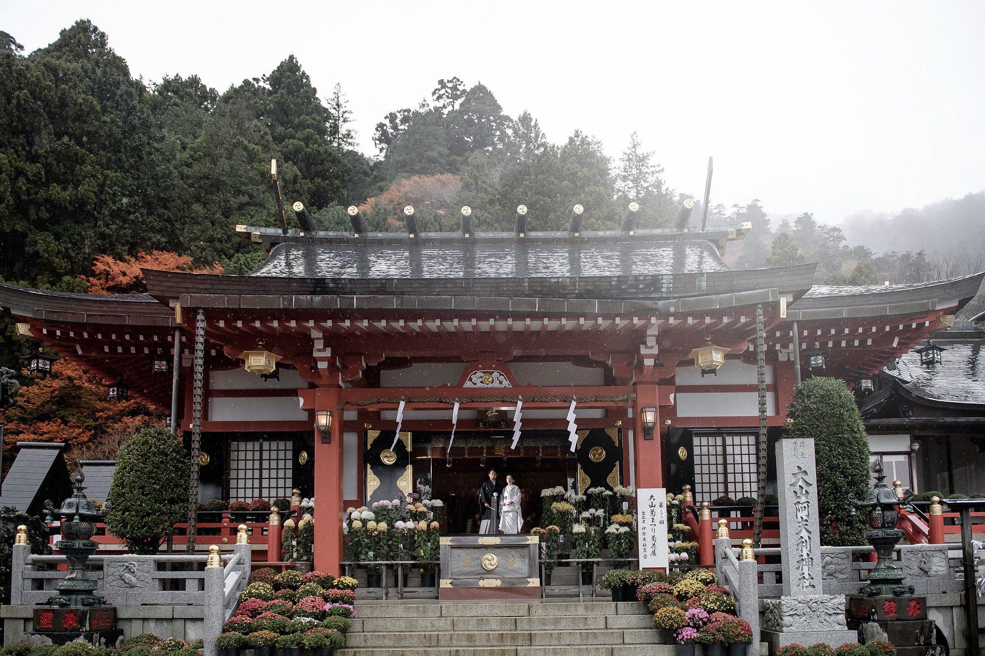 The bride and groom stand small at the top of the steps of Oyama Afuri Shrine in autumn, chrysanthemums lining the vermilion hall, a shrine wedding near Tokyo.