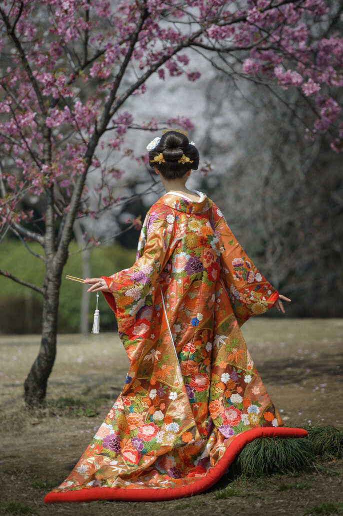 Seen from behind under early cherry blossom, a bride with traditional bridal hair and gold kanzashi shows the full trail of her floral iro-uchikake.