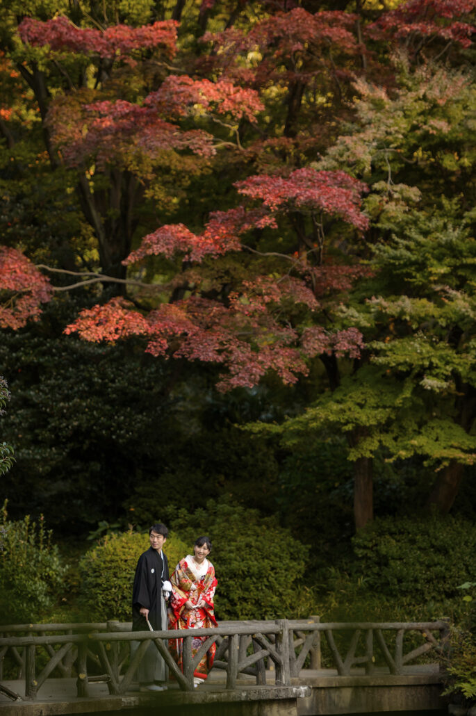 Beneath red autumn maples, a couple cross a rustic garden bridge, the bride in a red and gold iro-uchikake, the groom in black montsuki.