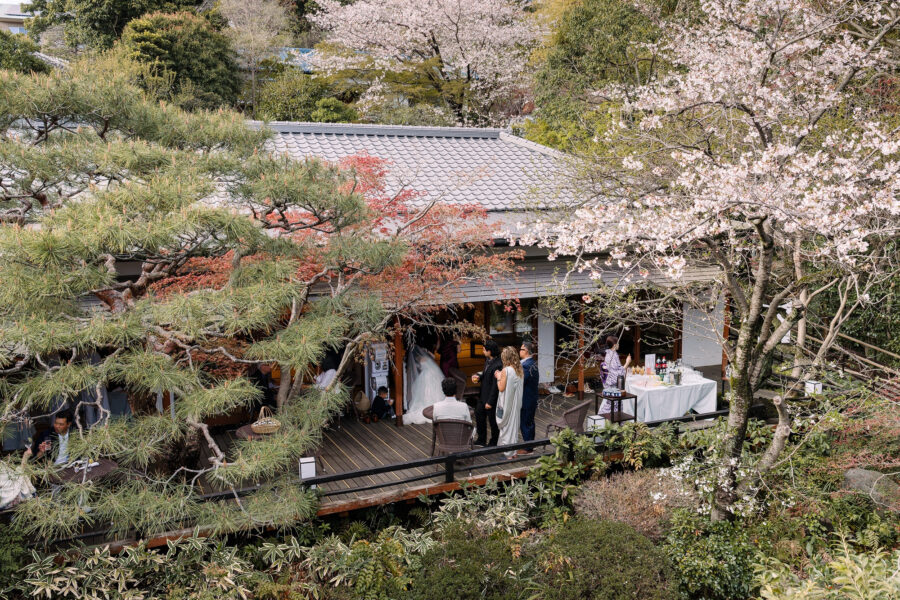 Cherry blossoms and red maples frame the ryokan's veranda as guests gather on the terrace below in early spring.