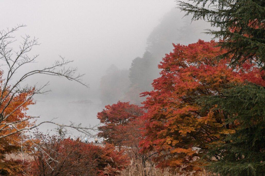 Red maple leaves frame Lake Shoji lost in fog, the mountain hidden behind it.