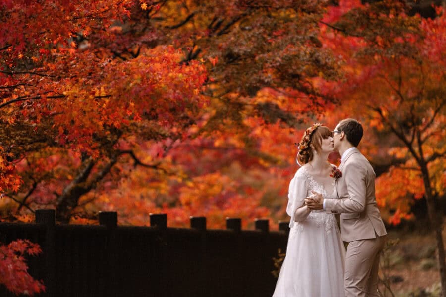 The couple kiss beneath a canopy of red and orange maples beside a dark wooden fence, an autumn wedding in Japan in Kosuge.