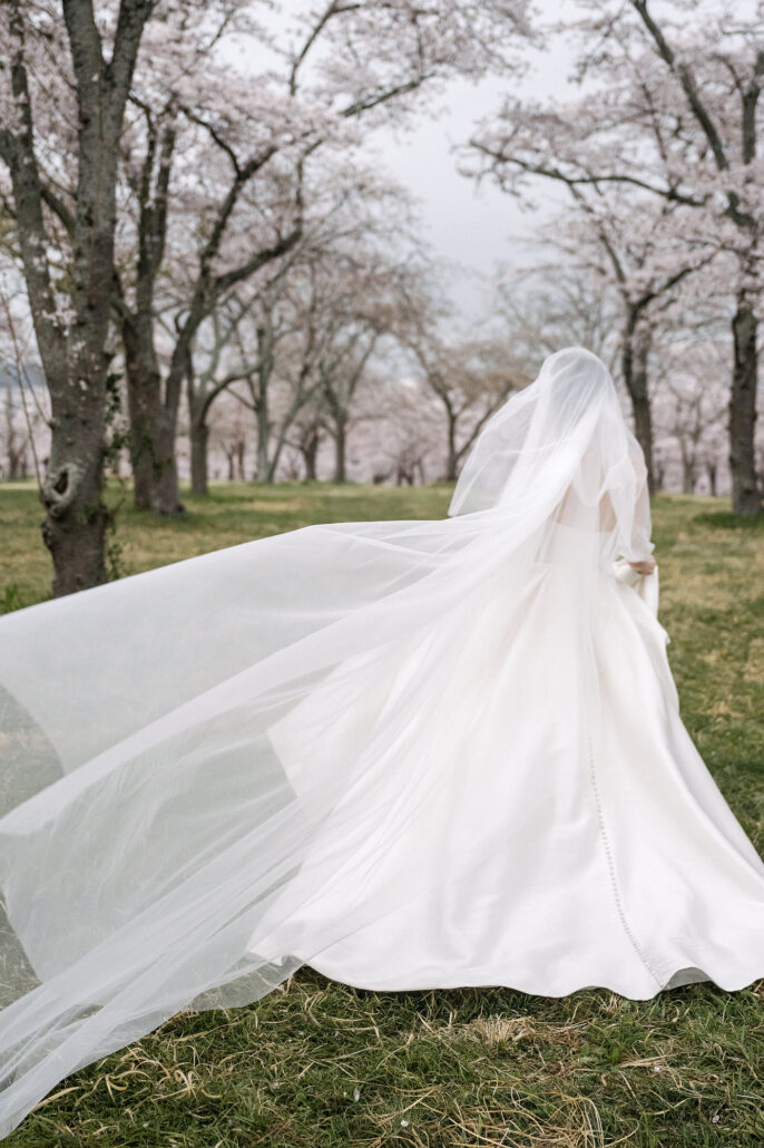 Seen from behind, the bride walks into an empty cherry grove as her long veil lifts on the wind.