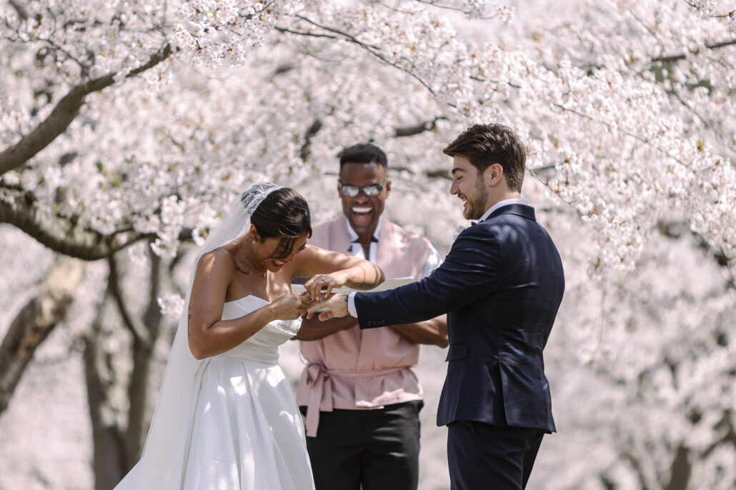 The bride and groom exchange rings with a friend officiating, under cherry trees in full bloom in Aomori.