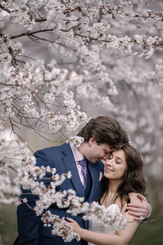 The groom rests his forehead against the bride's as she smiles, framed by white cherry blossom, a sakura elopement portrait in Japan.