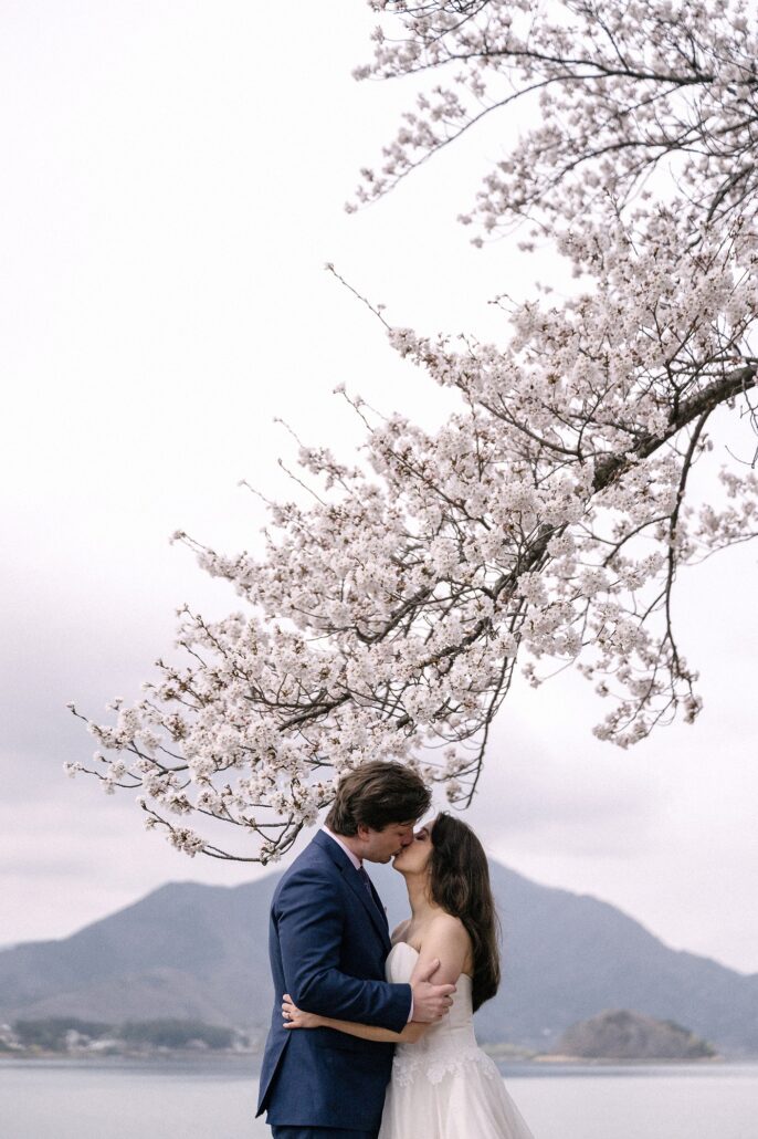 The couple kiss beneath a branch of cherry blossom with a small island in Lake Kawaguchi behind them, a cherry blossom elopement.