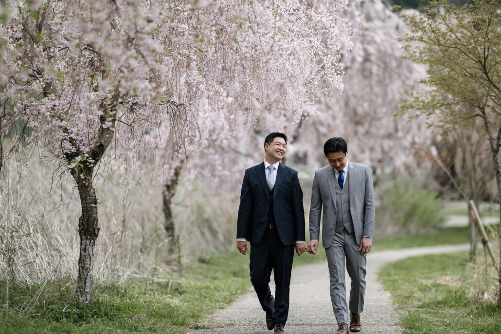 Two grooms walk hand in hand along a path beneath weeping cherry trees in full blossom, spring in Japan.