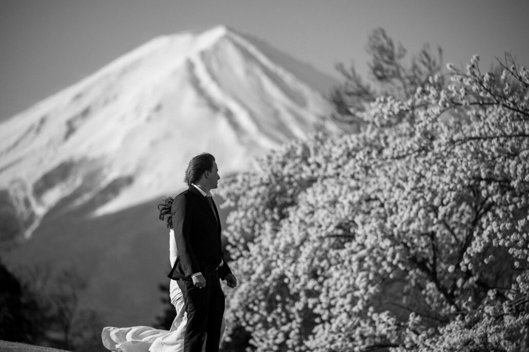 In black and white, the groom looks toward Mt Fuji over a cloud of blossom, the bride's train at his feet.