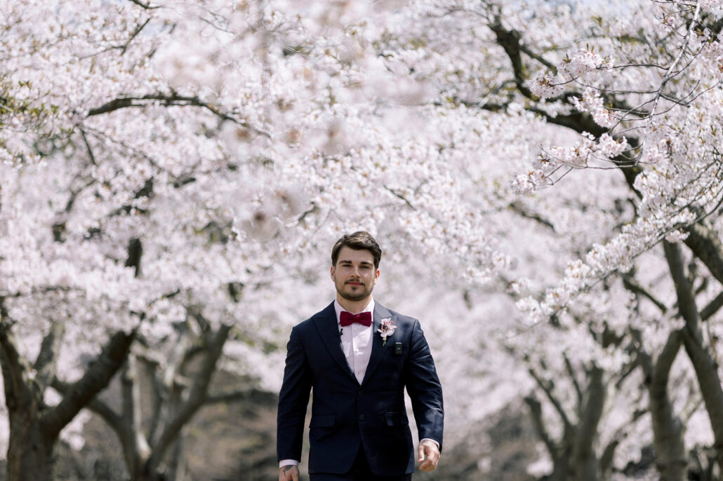 The groom waits alone under a canopy of white cherry blossom before the ceremony in Aomori.
