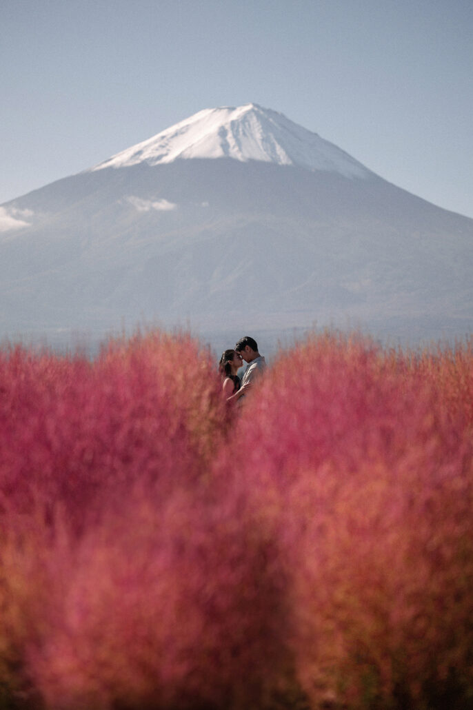A couple kiss in a field of red kochia with snow-capped Mt Fuji above them in autumn.