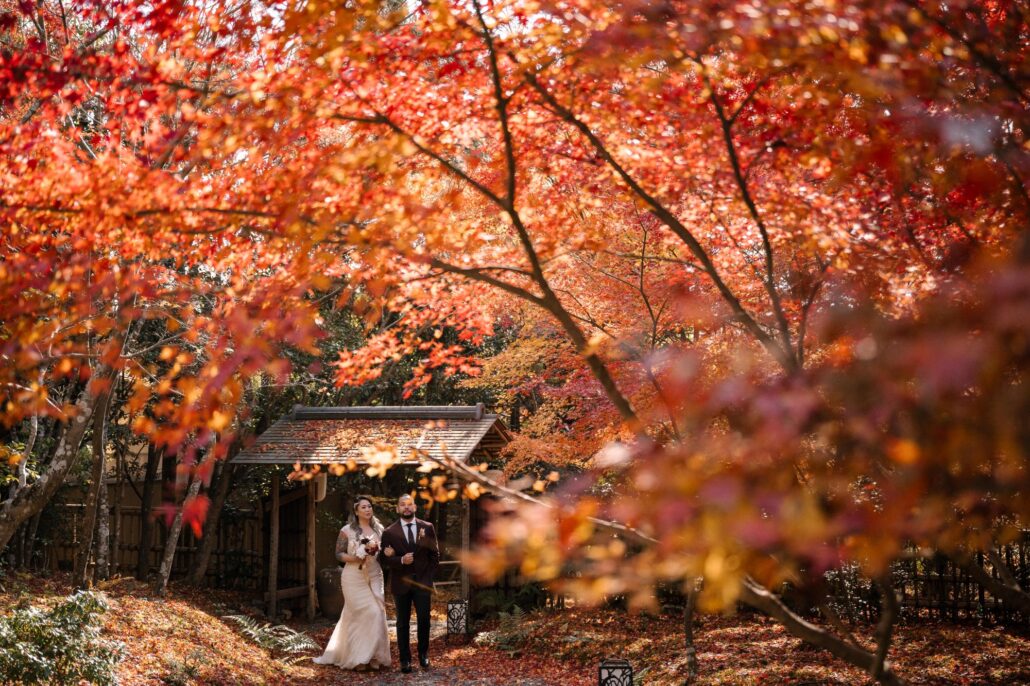 The newlyweds stand small beneath a vast canopy of red maples in a private garden in Kyoto at the height of autumn.