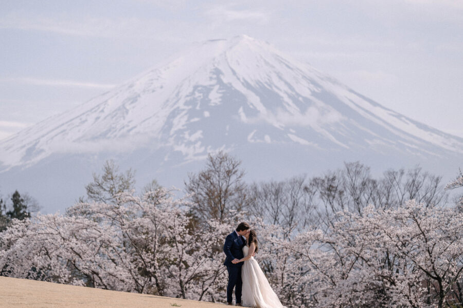 The couple embrace on a grassy rise below rows of cherry blossom and snow-capped Mt Fuji, a Mt Fuji cherry blossom elopement in spring.