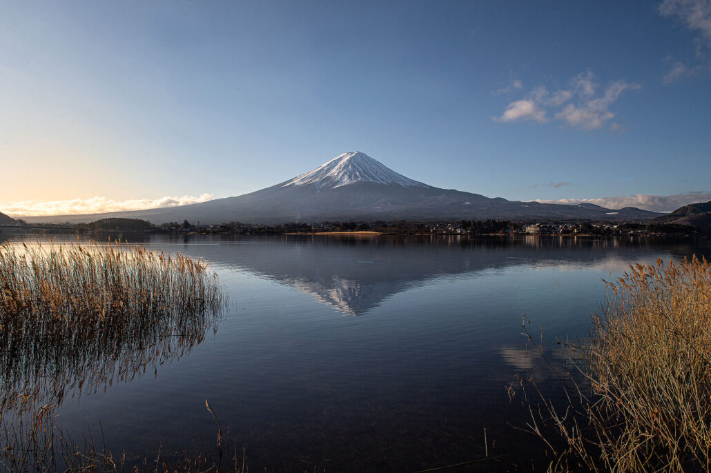 Mt Fuji and its snowcap reflected in a still lake on a clear winter morning, reeds along the shore.