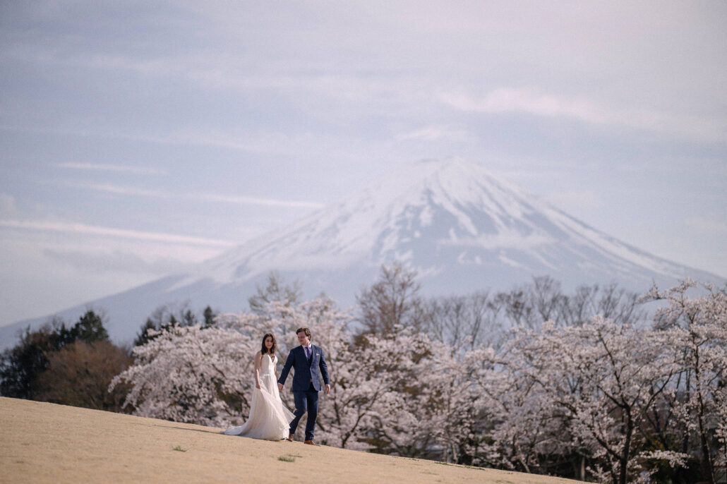 The bride and groom walk across a sunlit slope lined with cherry blossom trees, Mt Fuji soft in the haze behind, a Mt Fuji sakura elopement.