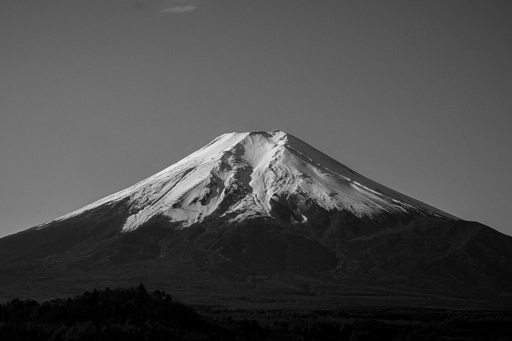 In black and white, fresh snow lies on the summit of Mt Fuji above dark forested slopes on a clear November morning.