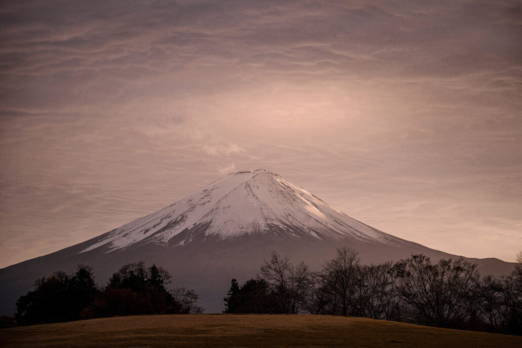Mt Fuji's snowcap under a soft pink evening sky, bare trees dark against the slope below.