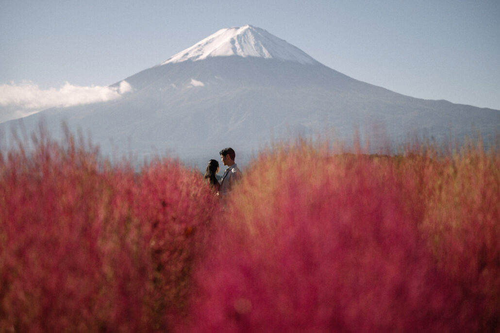 The couple stands deep in a field of crimson kochia at Oishi Park, Mt Fuji clear above them with a wisp of cloud on its slope.